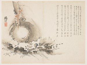 リバーラピッド、1861-63年頃（カラー木版印刷） 作： Unbekannt Unbekannt
